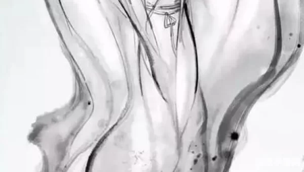 成仙飞升