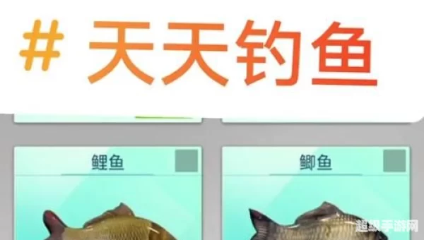 dnf钓鱼活动bug