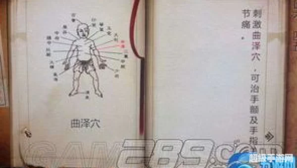 侠客风云传穴位